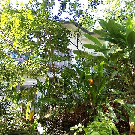 House 73 Hotel Unawatuna Ngoại thất bức ảnh