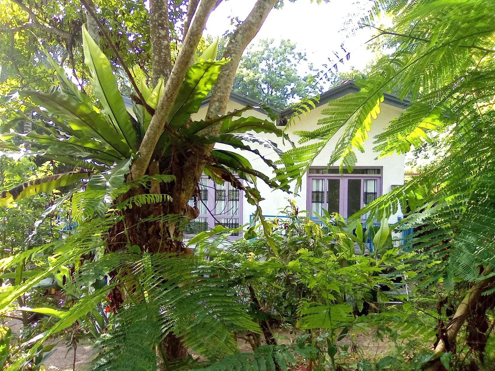 House 73 Hotel Unawatuna Ngoại thất bức ảnh